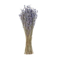 Веник из трав Лаванда